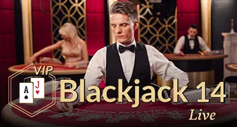 Blackjack VIP 14